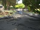 East Bay landscape construction